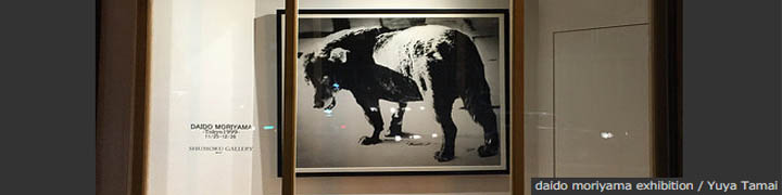 daido moriyama exhibition